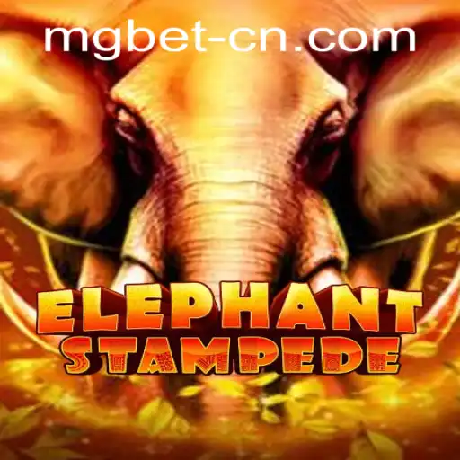Mgbet PH Login Casino App