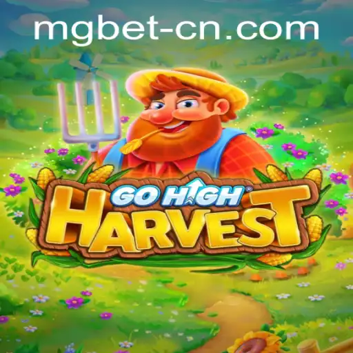 Mgbet PH Login Casino Withdrawal