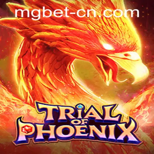 Mgbet PH Login Casino App